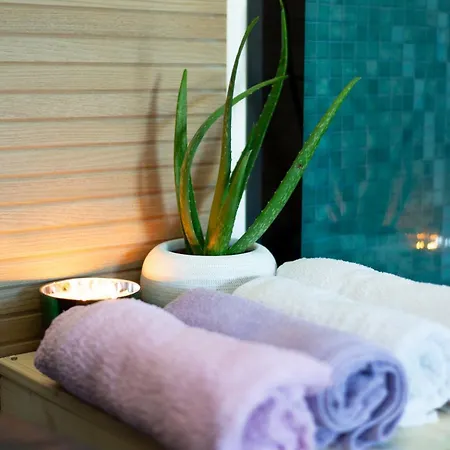 Baroque With Pool Sauna Gym Villa *